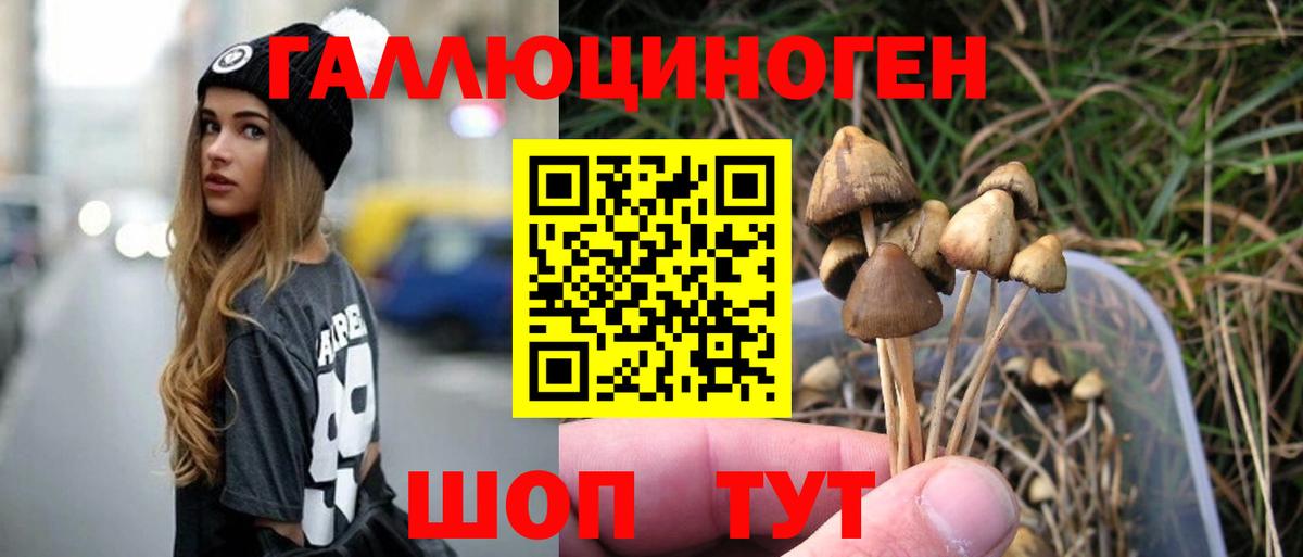 Псилоцибиновые грибы Cubensis Наро-Фоминск